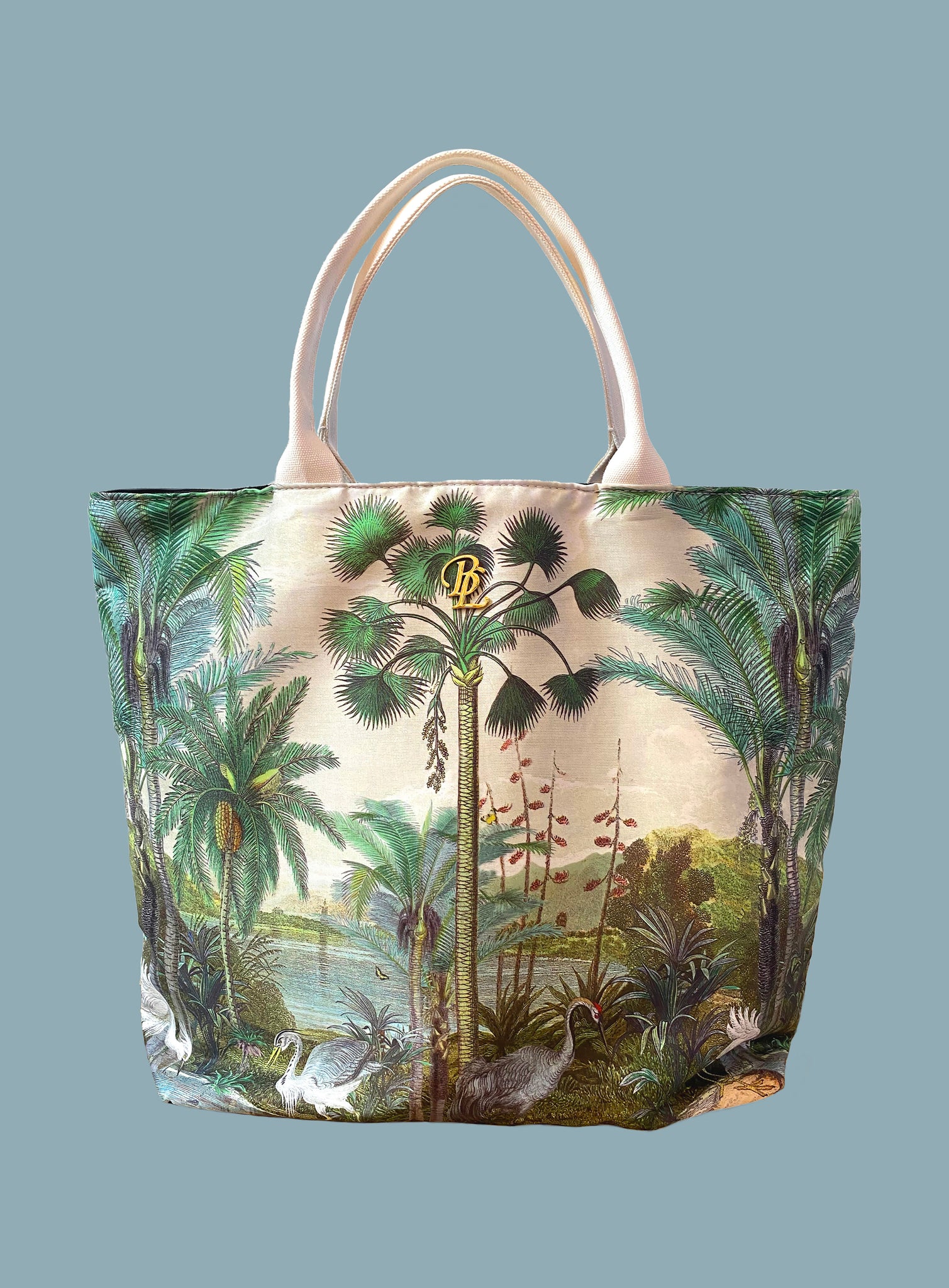Indian Subcontinent Tote Bag